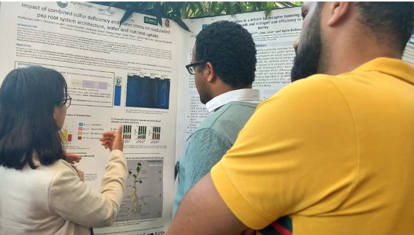 A woman standing at a poster